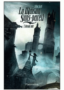 L&rsquo;oiseau Noir d&rsquo;Elliot Skell