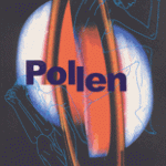 Pollen de Joelle Wintrebert