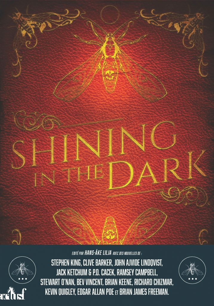 Shining in the dark – Collectif